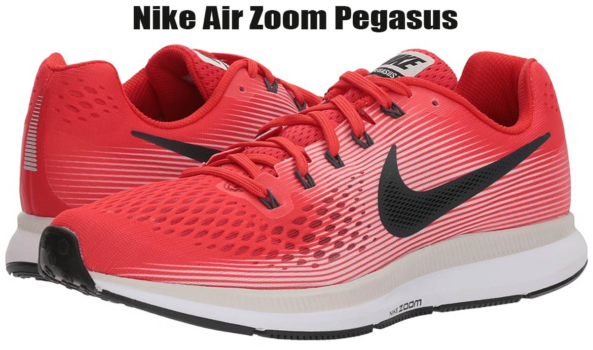 Nike Air Zoom Pegasus